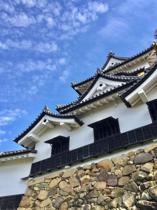 beautiful castle