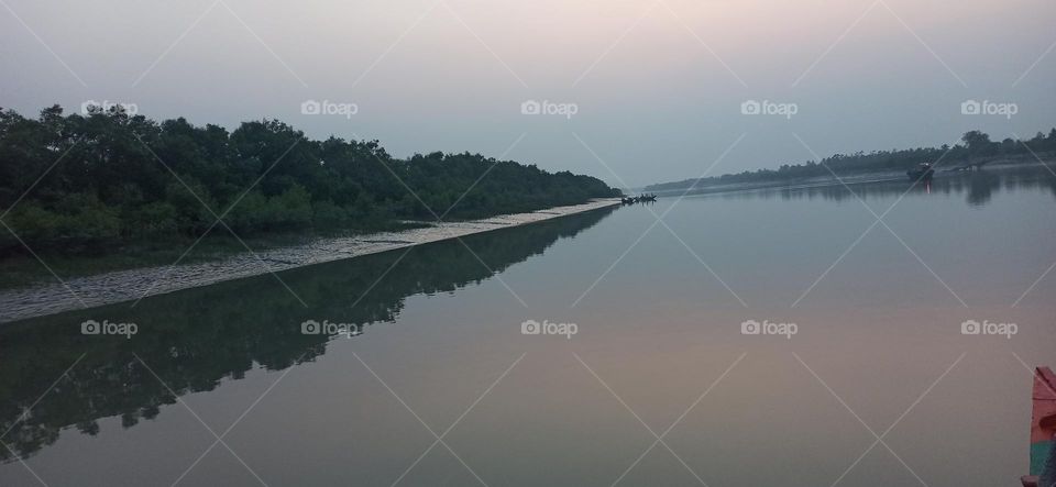 The riverside of Sundarbans