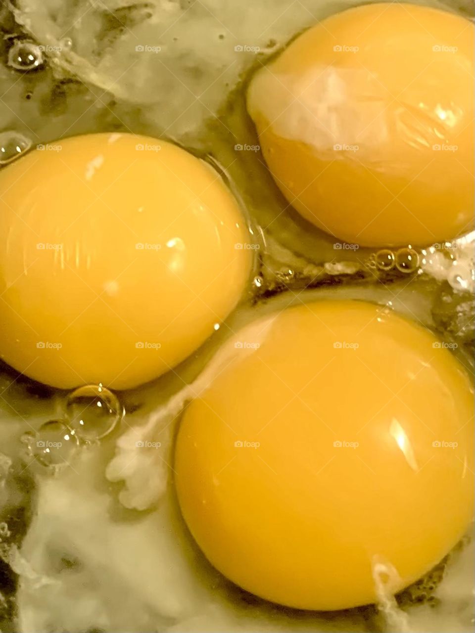 Egg yolks 