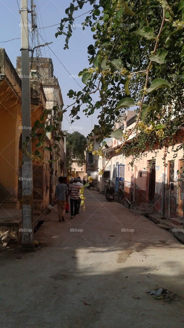Heritage Buildings in Rajasthan India.