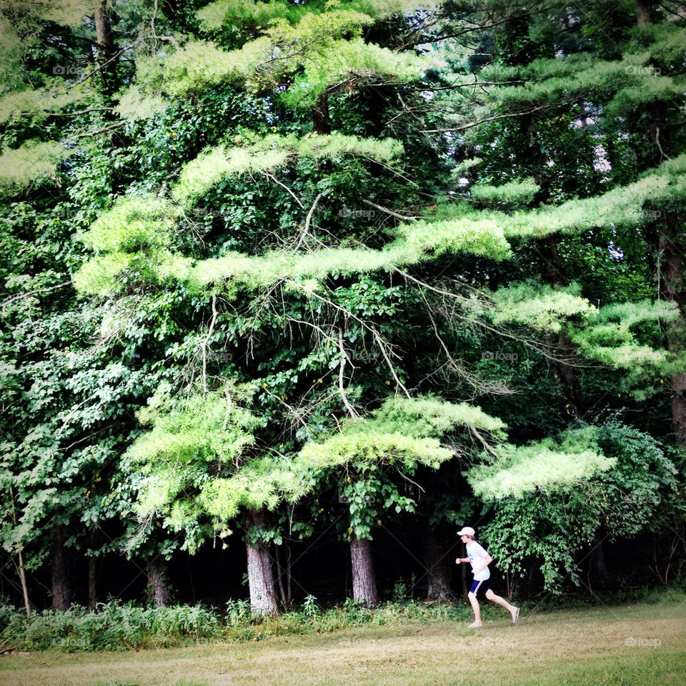 trees jogging camp kis by detrichpix