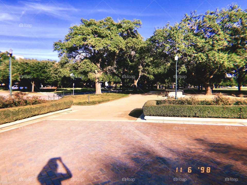 Hermann Park