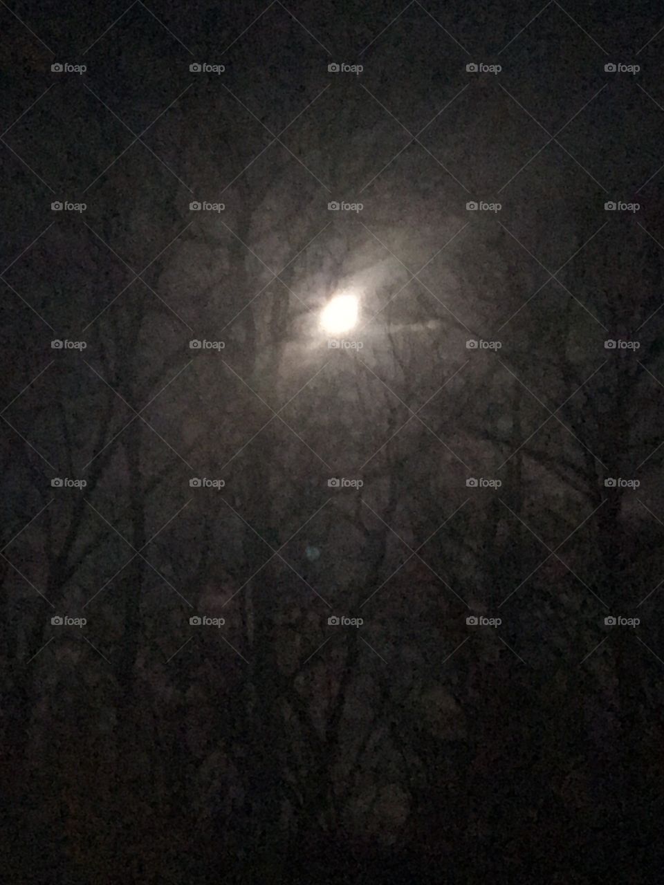 Beautiful country moon view