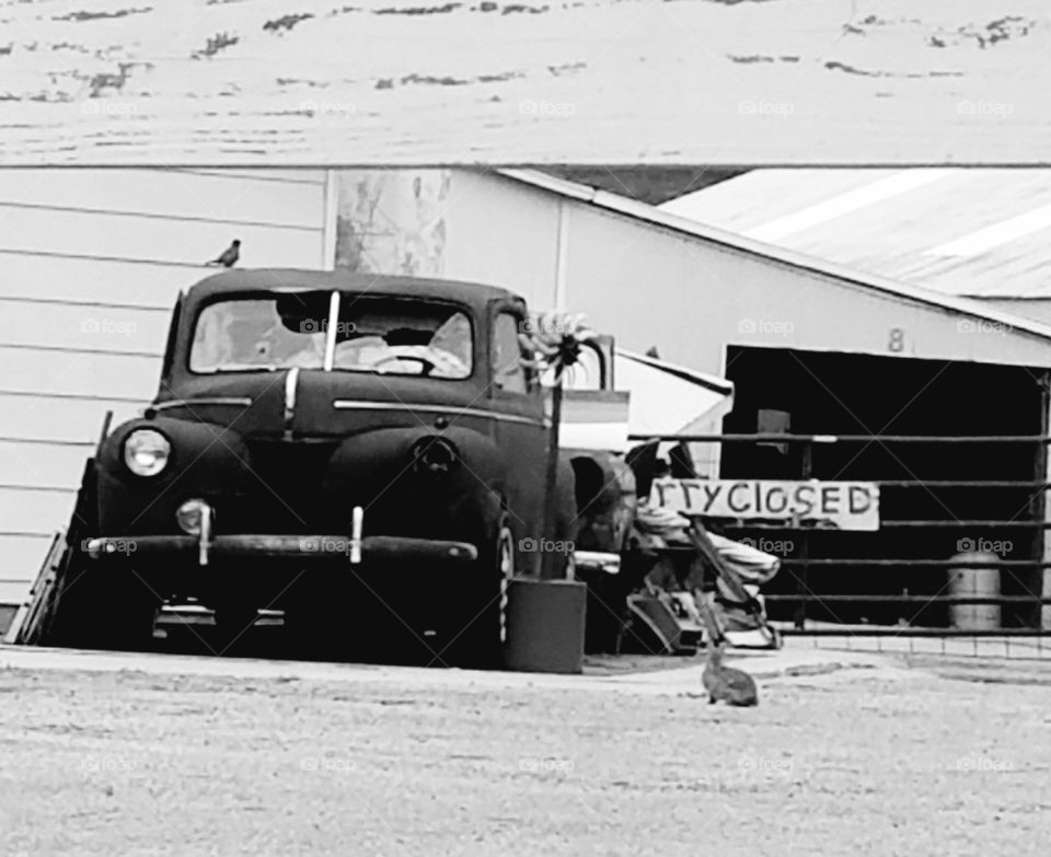 Driving the Back Roads and enjoying everything around us