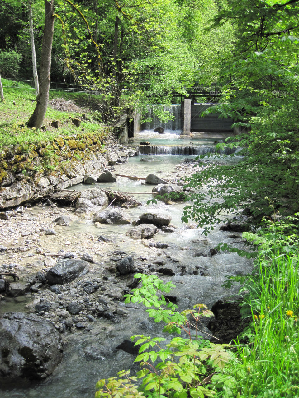 Bavarian stream