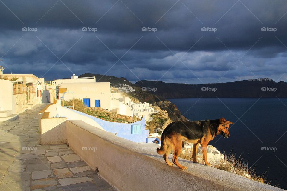 Last glimpse of daylight