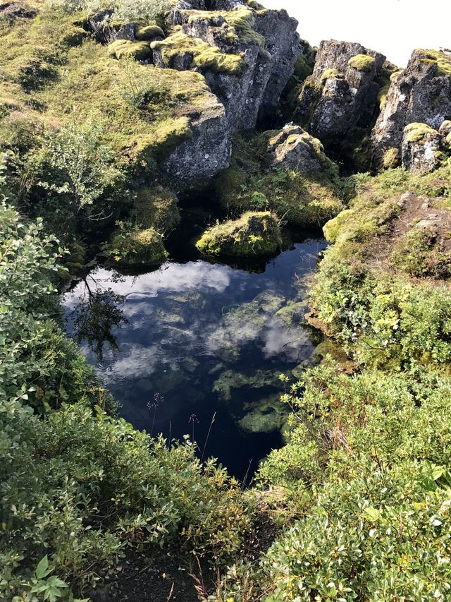 Reflections