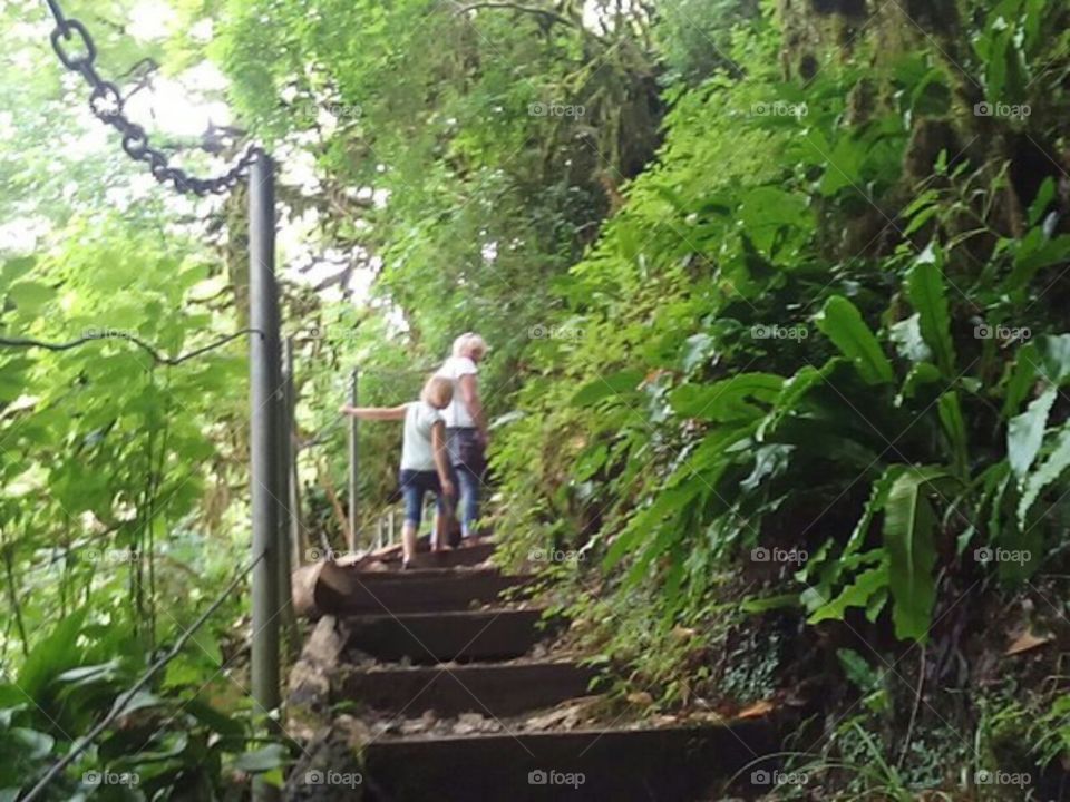 подъемы и спуски