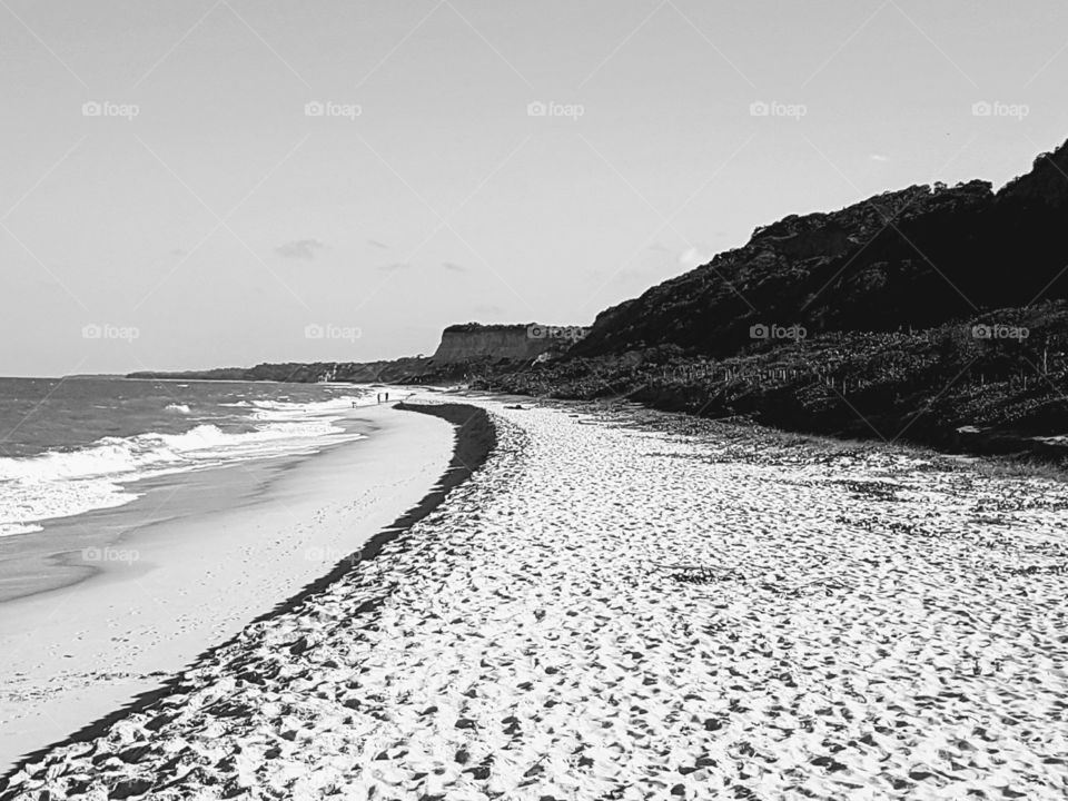 Pitinga em preto e branco
