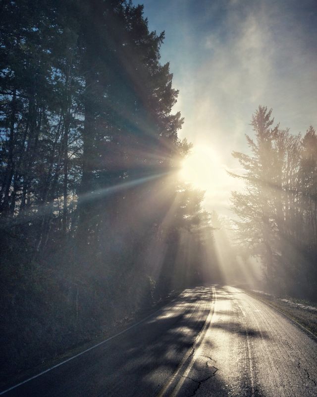 Morning fog