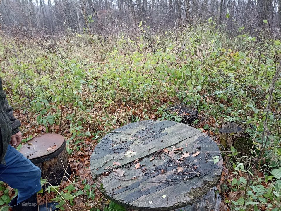 An old table in the woods