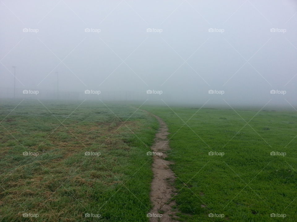 Into the fog