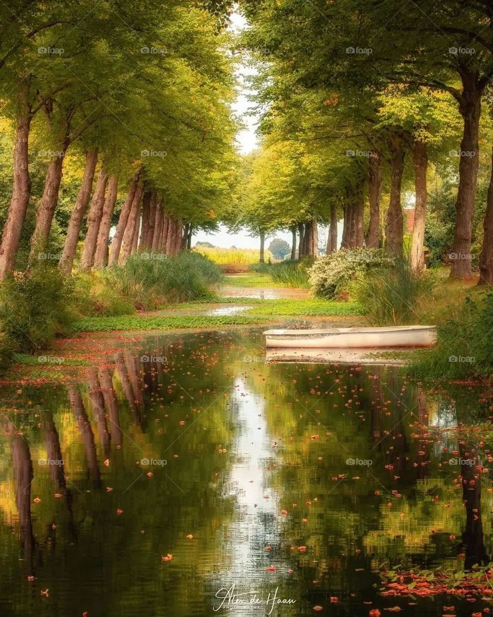 do you like this nature photo