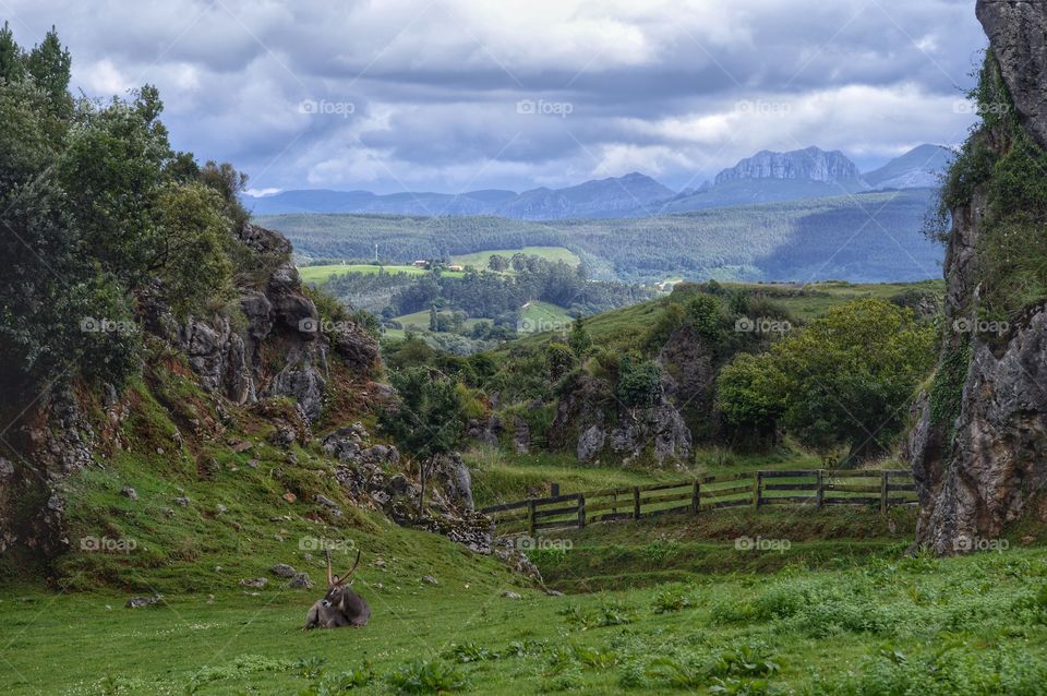 Cabárceno (Cantabria - Spain)