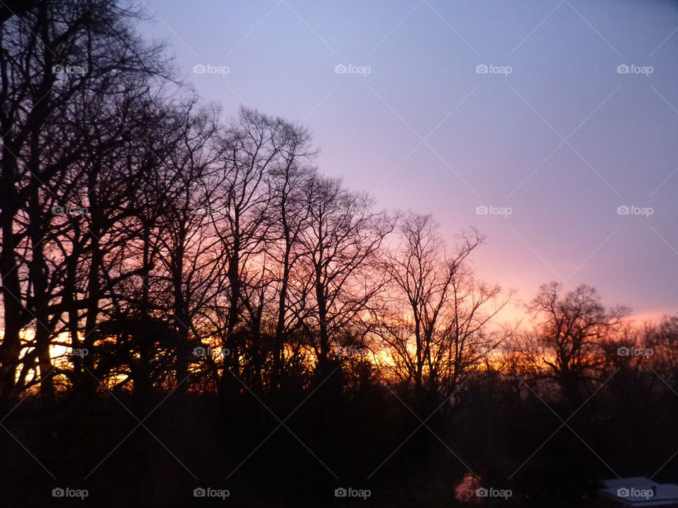 winter sky trees sunrise by lizajones