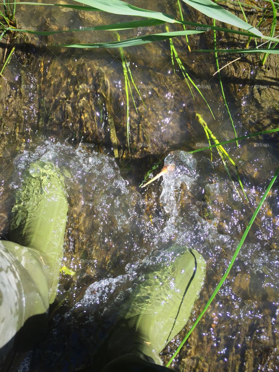 Working for the mosquito abatement offers plenty of opportunities to hike through nature. I've found from work and my life that real success is discovered as you go against the current, forward to the unseen vistas, where limits are exceeded and resistance is expected, for resistance, though painful, builds champions. The greatest of which have championed themselves.