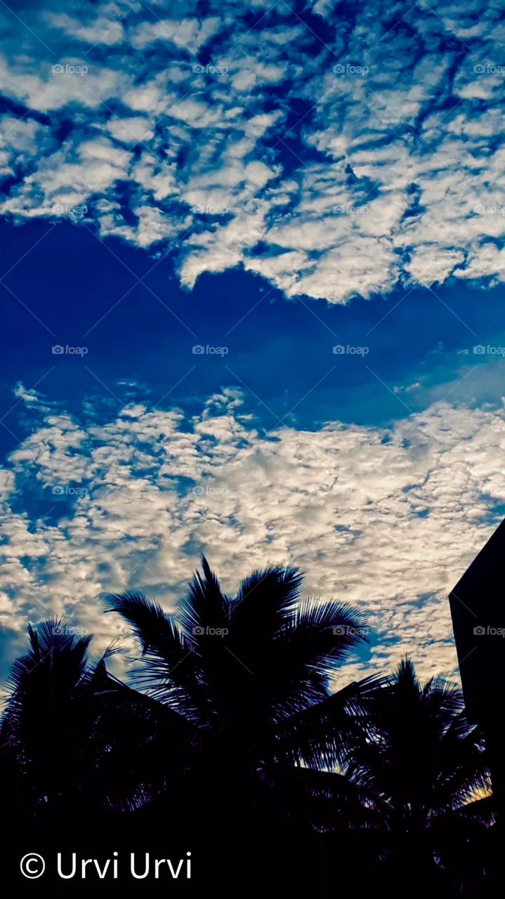 SkY☁️❤️🙌