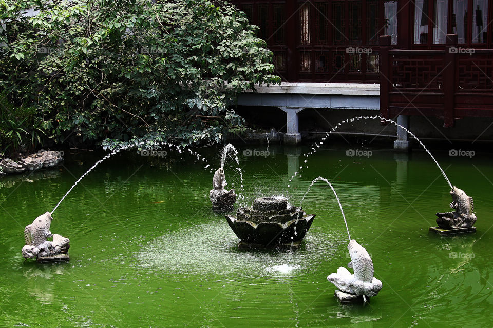 yuyuan fish fountain. A fountain at yuyuan with four fish statues in shanghai china.