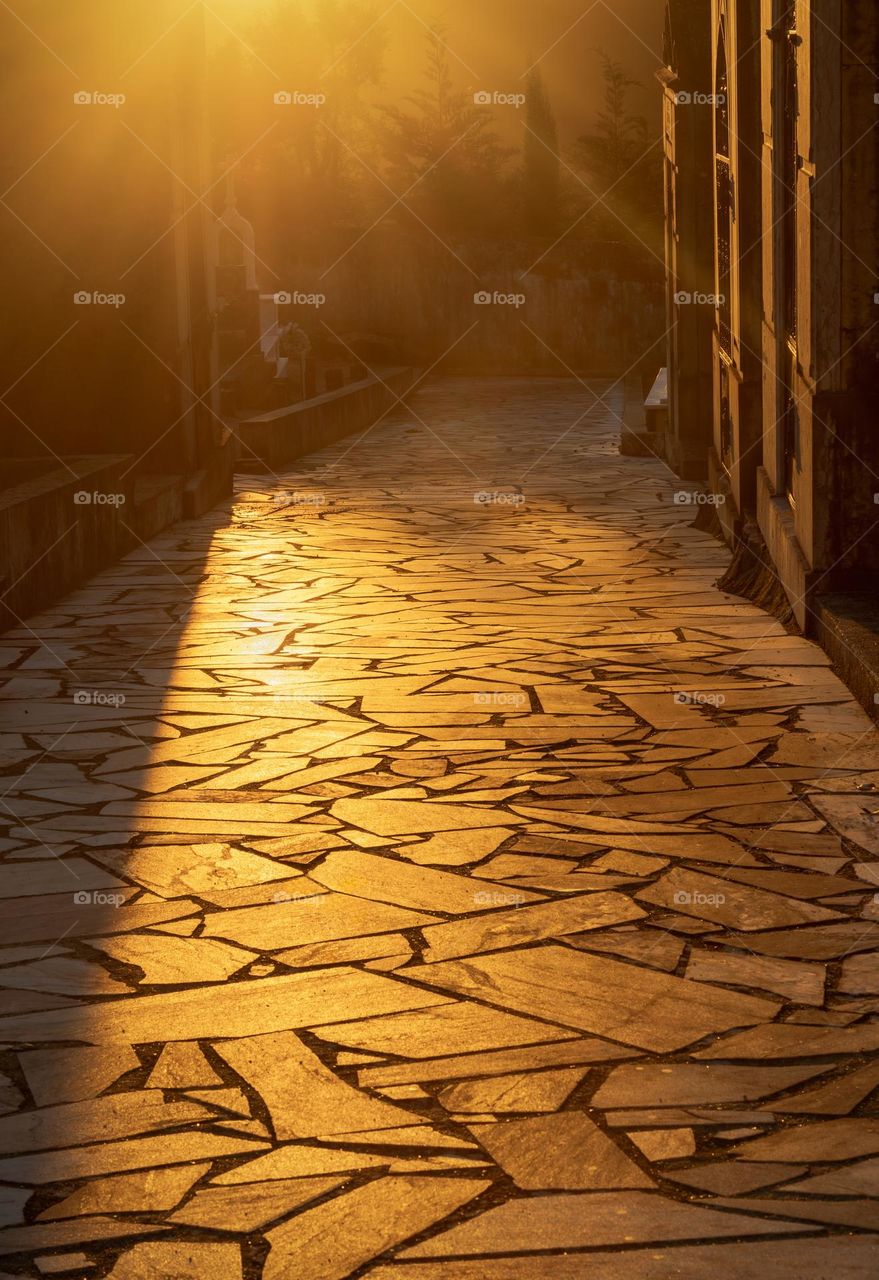 Golden sunlight falls on a paved path of a cemetery 