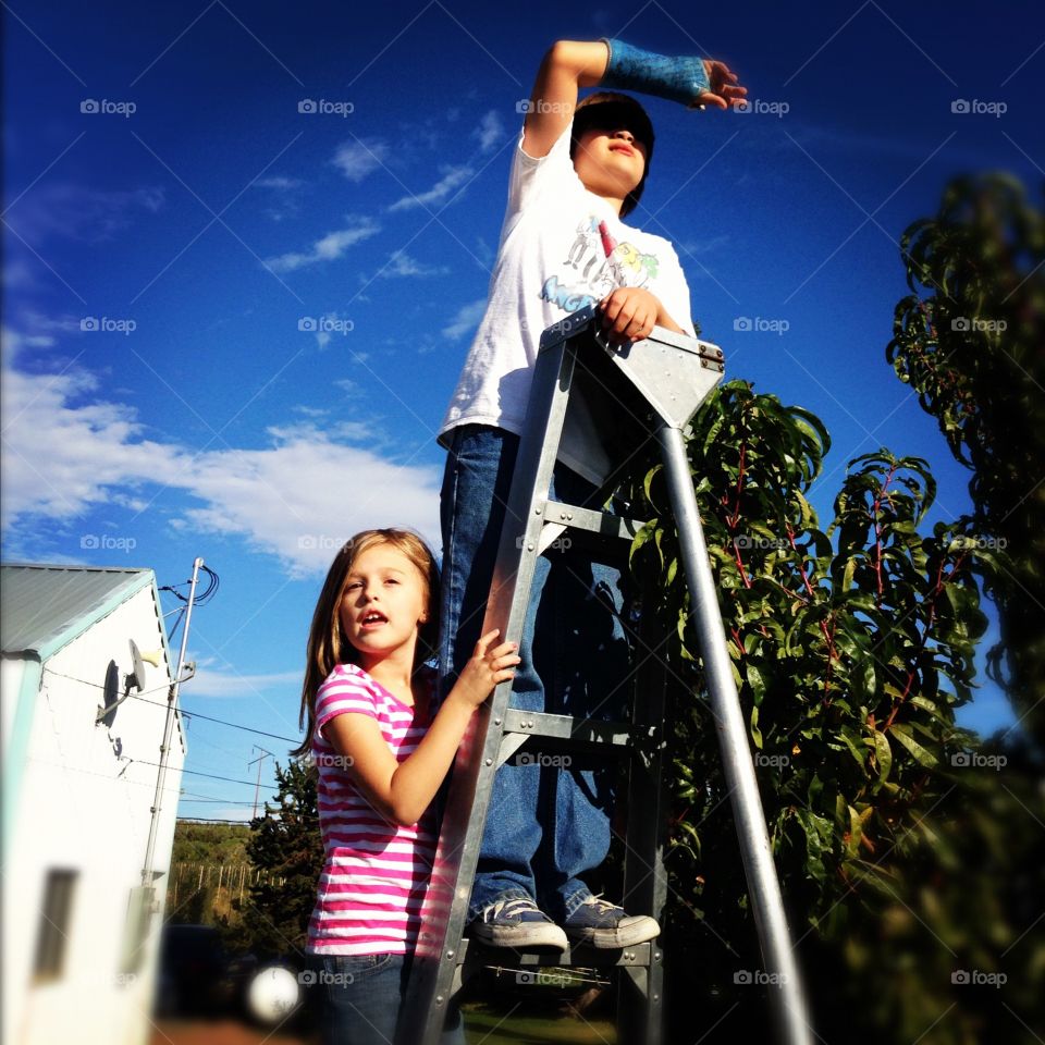 The view from up-top