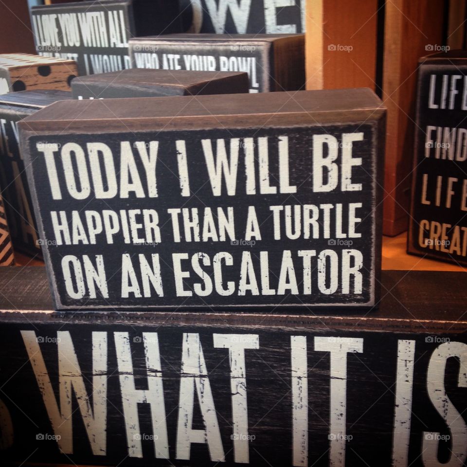 Today I will be happier than a turtle on an elevator 