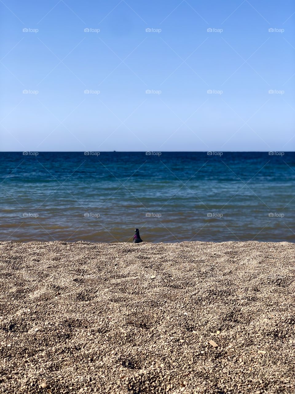 Beautiful day in the beach