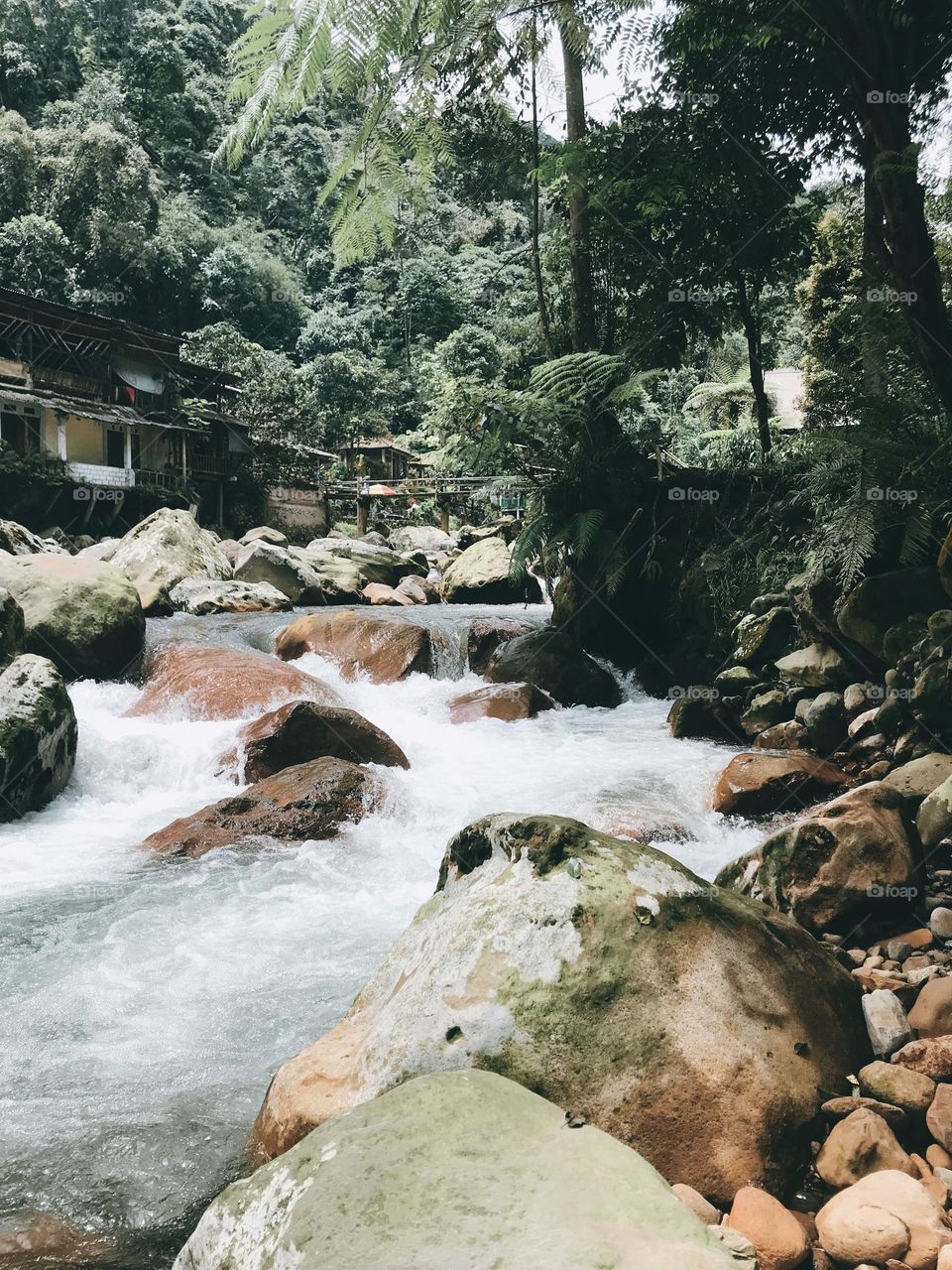 river with rocks in the middle of the forest