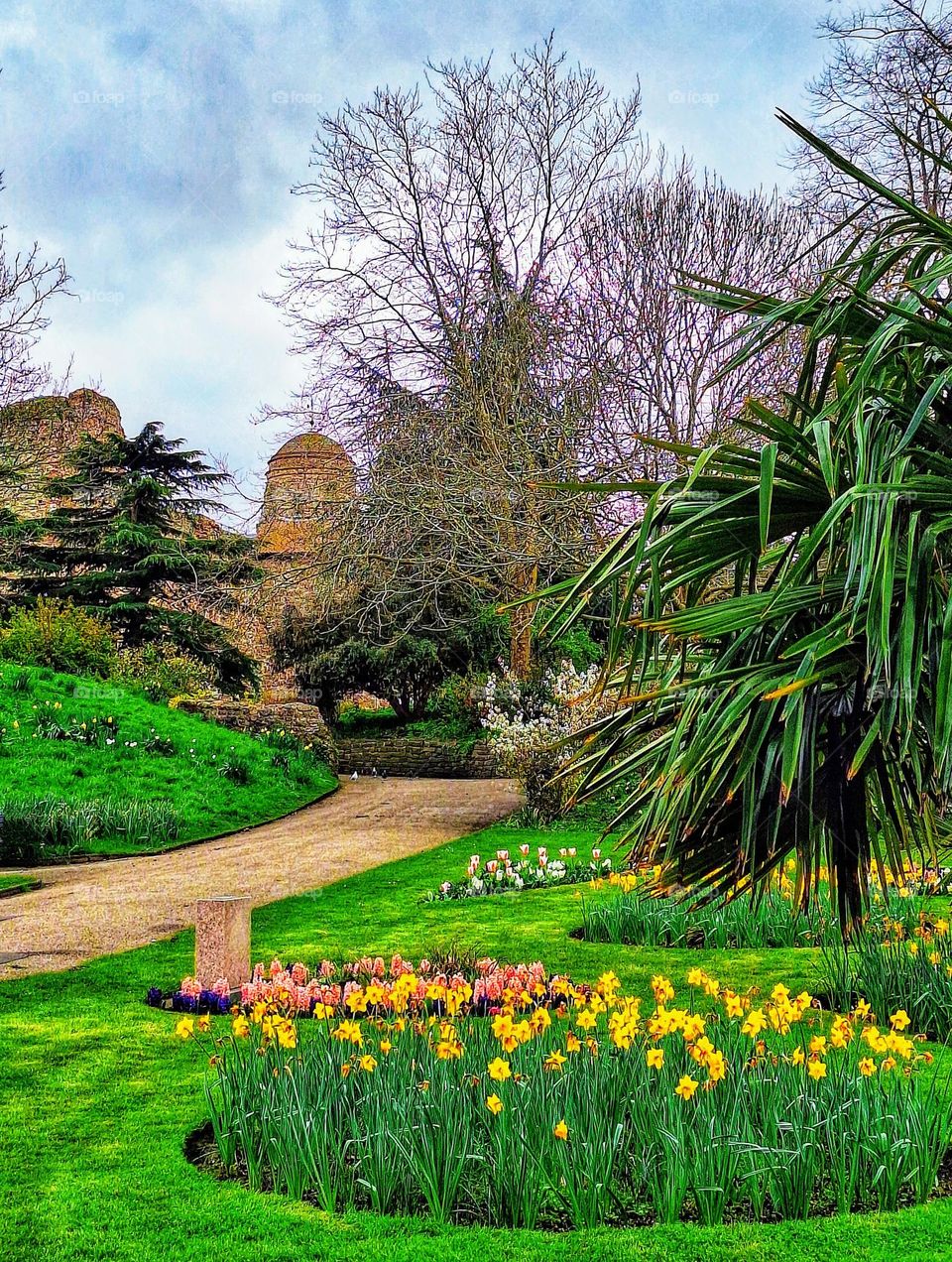 Image of spring flowers in Colchester Castle Park with a turret of Colchester Castle in the background