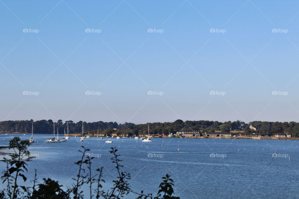 Gulf of Morbihan Brittany France