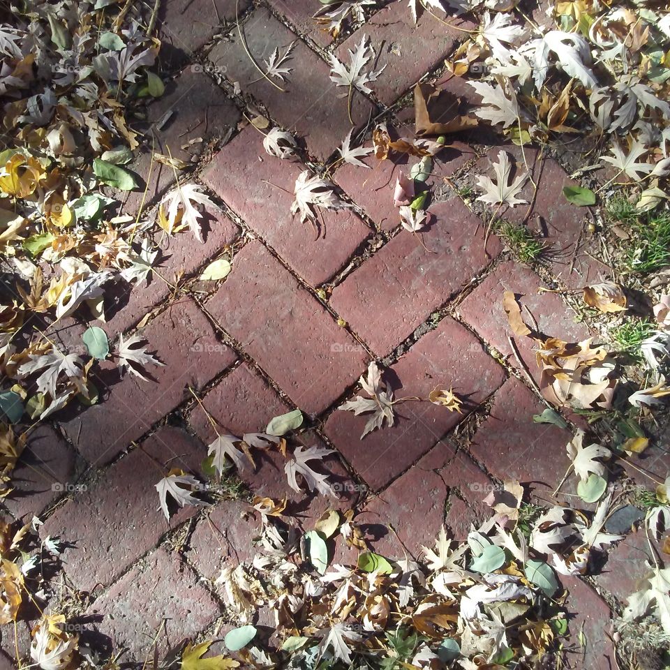 leaves and brick texture