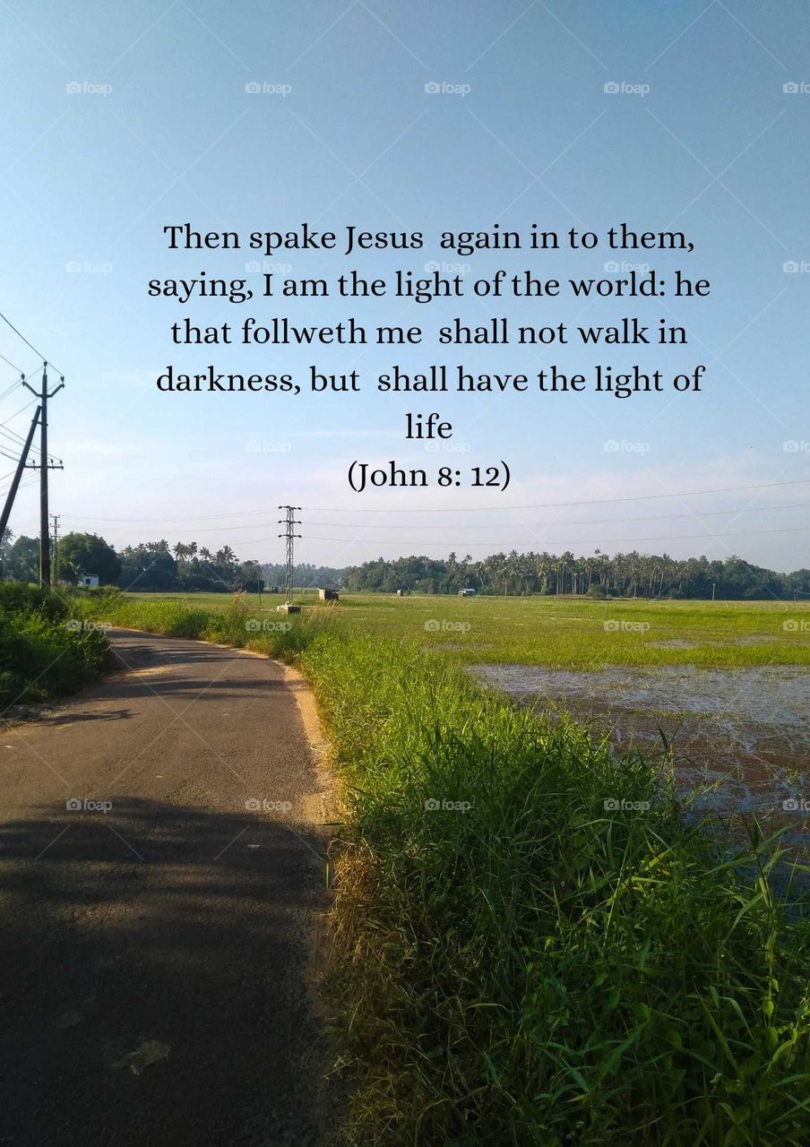 Beautiful nature scenery