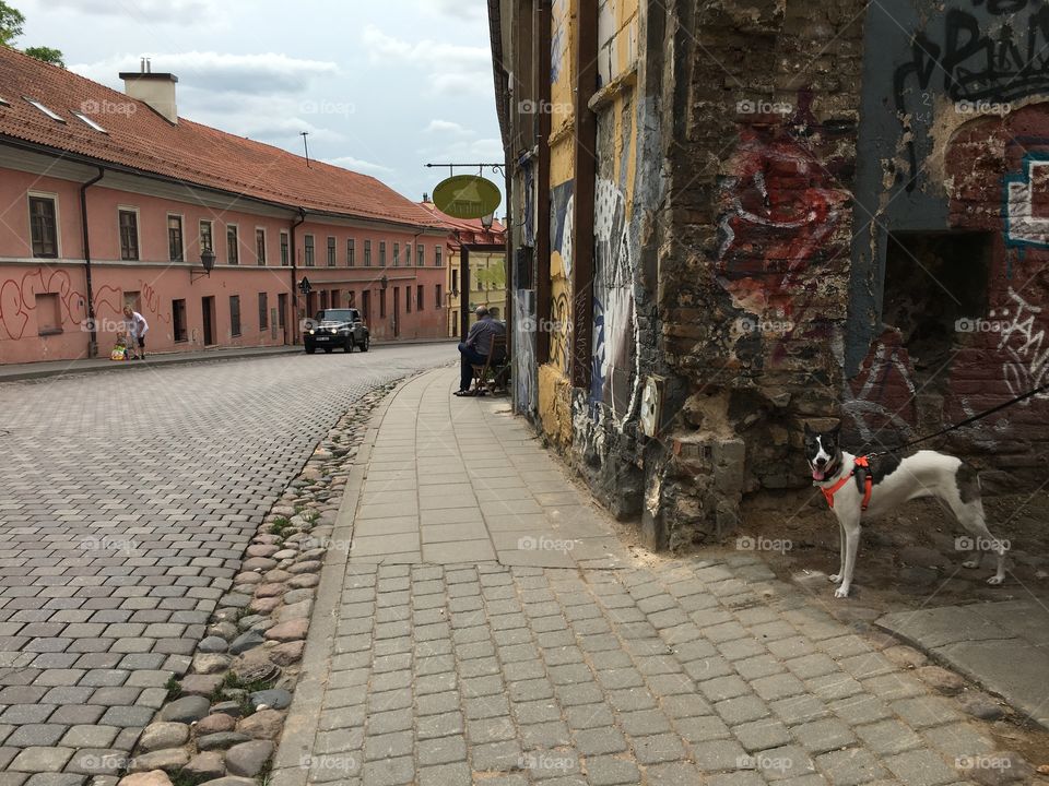 No Person, Street, Architecture, Town, Building