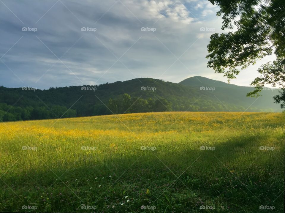 Cades cove 