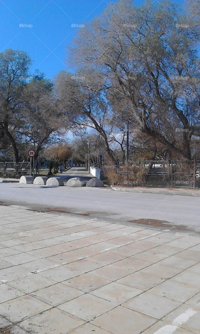 park