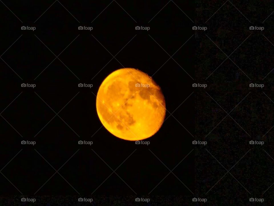 Gorgeous moon