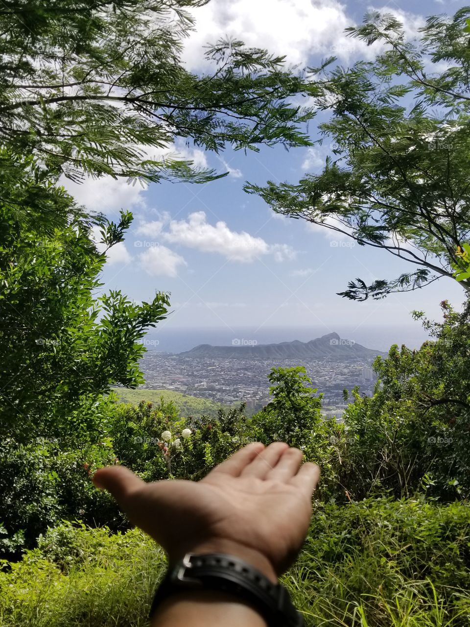diamond head mountain