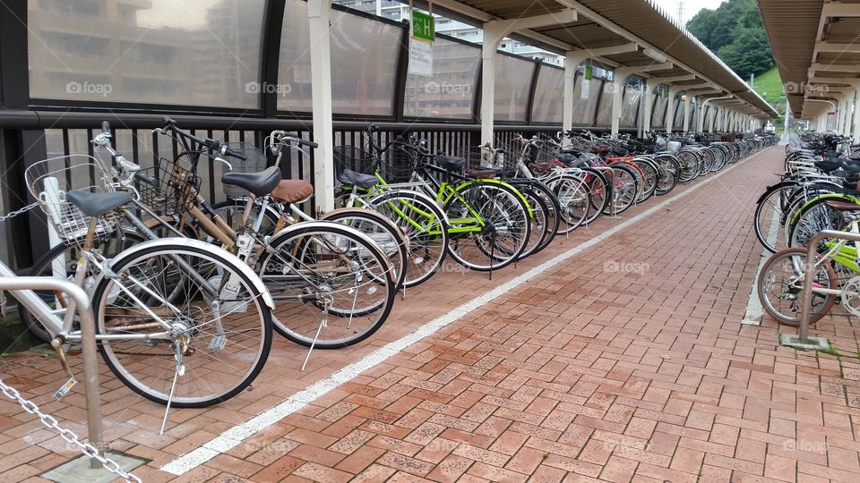 Bicycle place.
The bicycle is the inside of the white line.
and the same direction.
Anyone following all rule. 
This is real Japan!