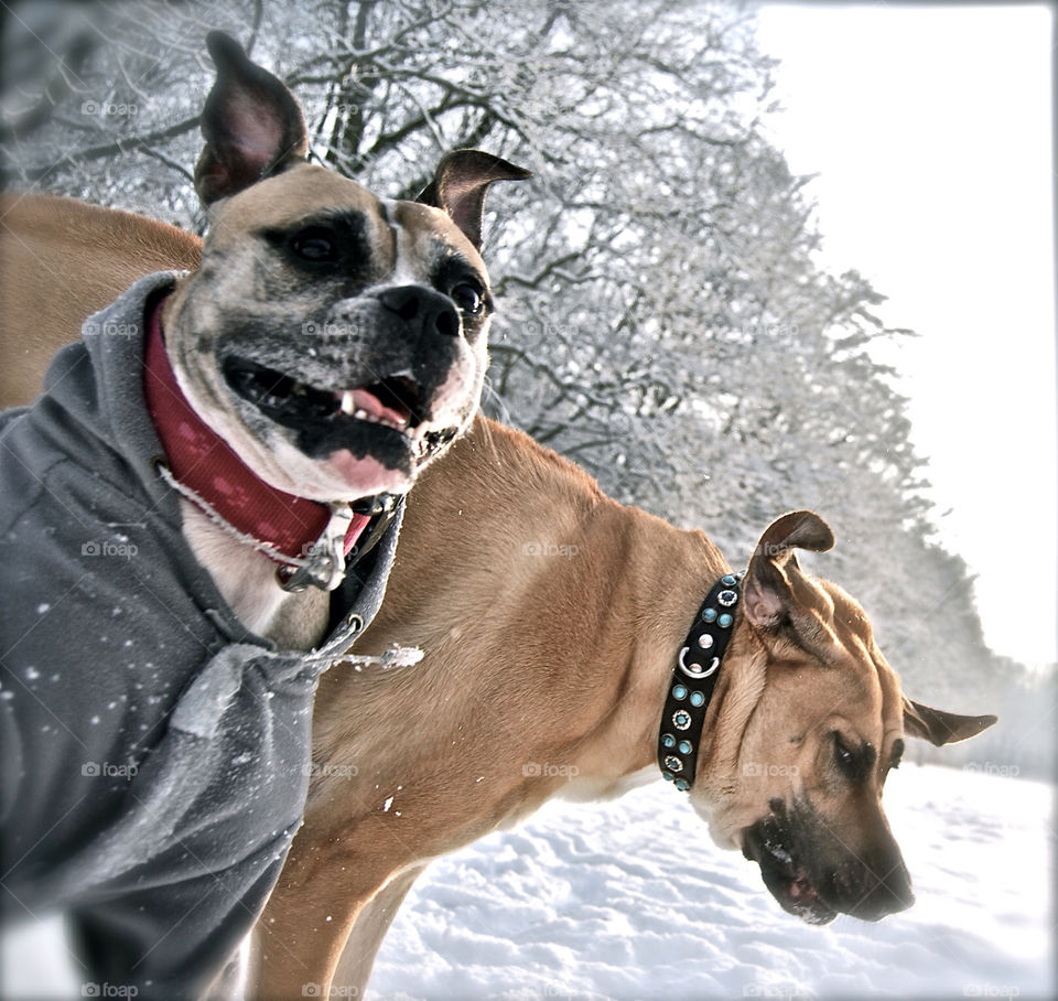 Roja and friend