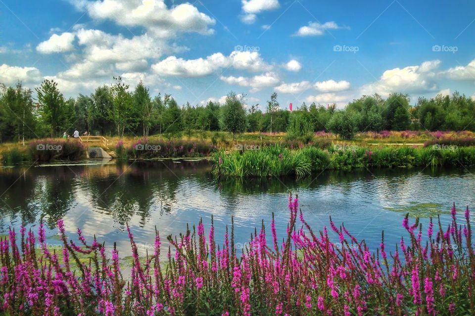 Queen elizabeth olympic park