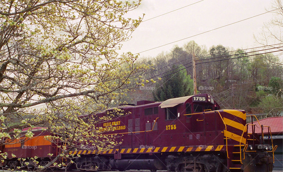 Great Smoky Mountains Railroad - Bryson City, North Carolina