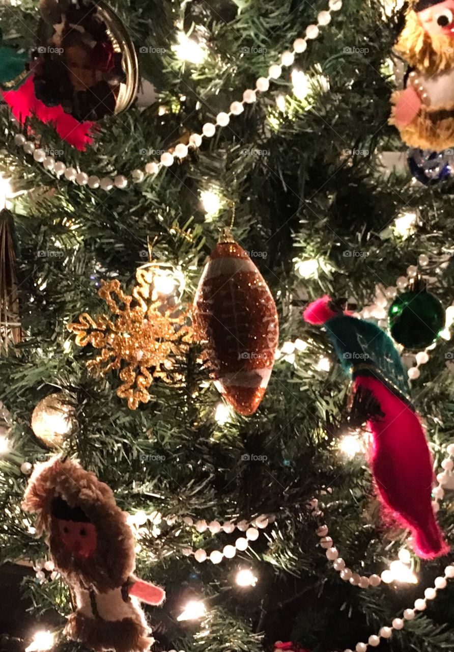 Christmas Tree Close Up