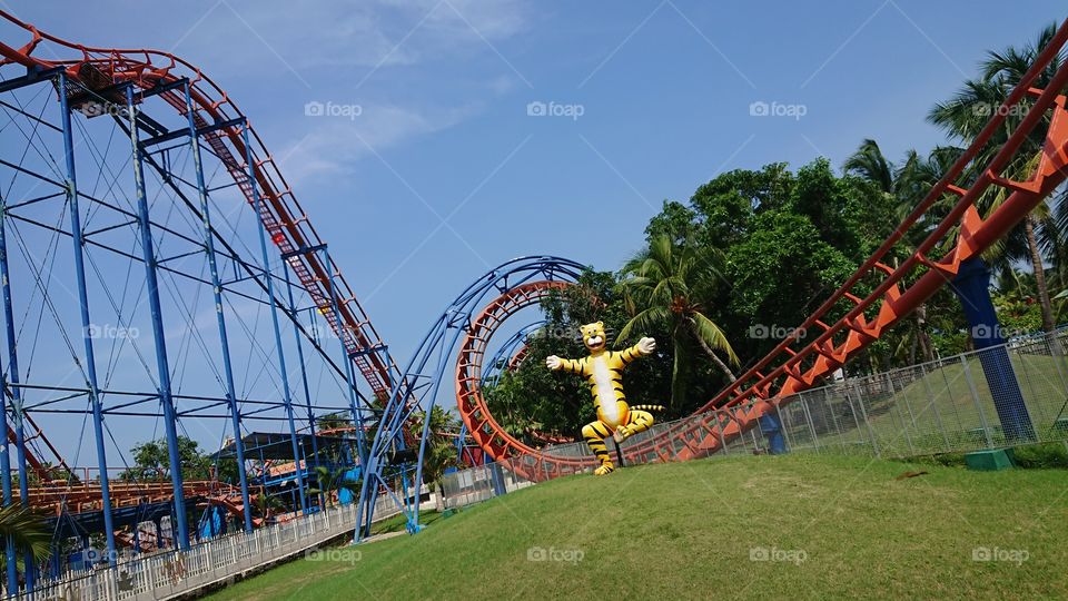 Roller-coaster ride
