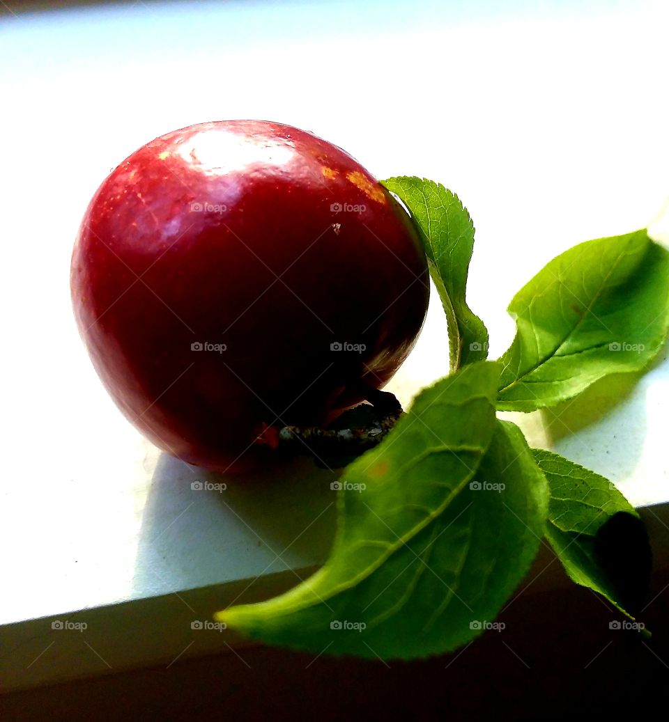 just playing around with a plum😉🤣