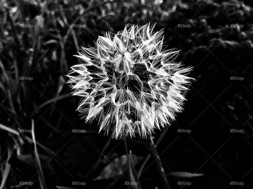 Devil is in the details...and beauty...and and and 