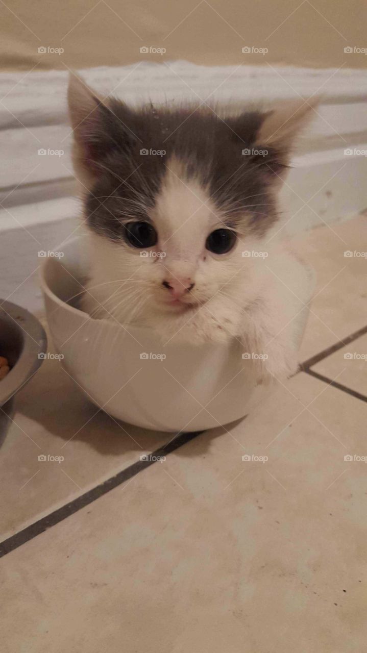 love my bowl
