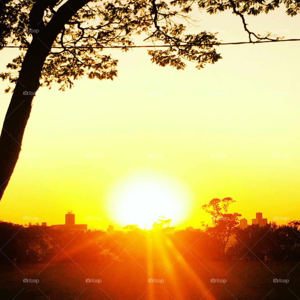 That was the incredible sun this morning!  Live nature and its beauty.  (Dawn photo in Jundiaí / Brazil), / Esse foi o incrível sol desta manhã! Viva a natureza e sua beleza. (Foto do amanhecer em Jundiaí/ Brasil),