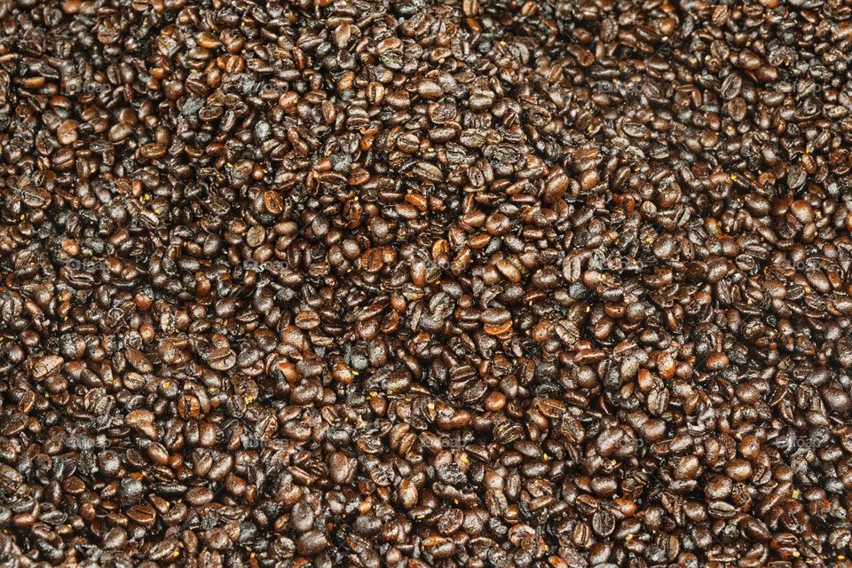 Close-up coffee bean texture