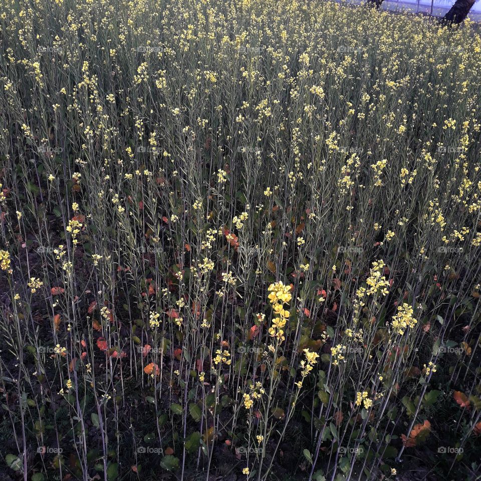 How much do you like this photo