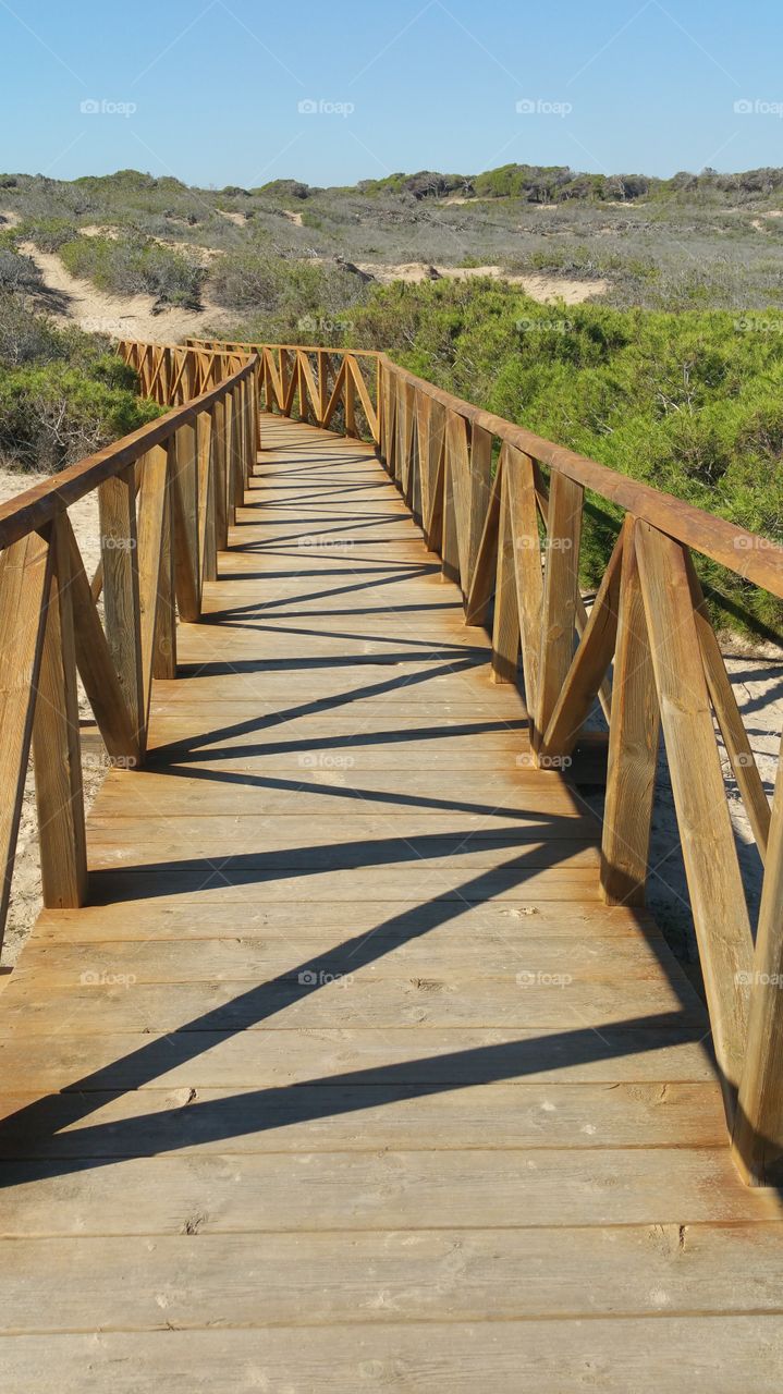 A wooden walkway from the beach