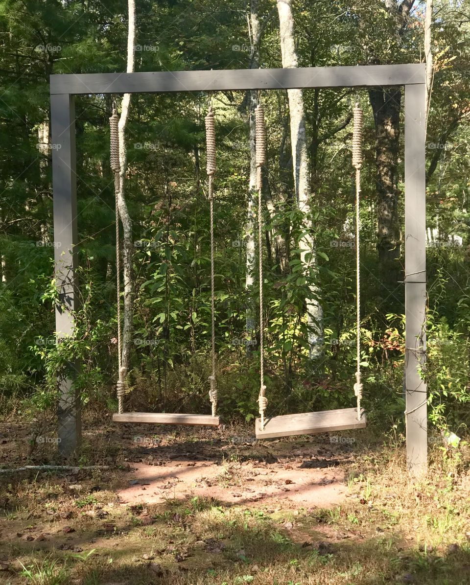 Two swings in the Georgia wilderness